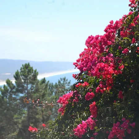 Encosta Do Sol Apartment Nazare