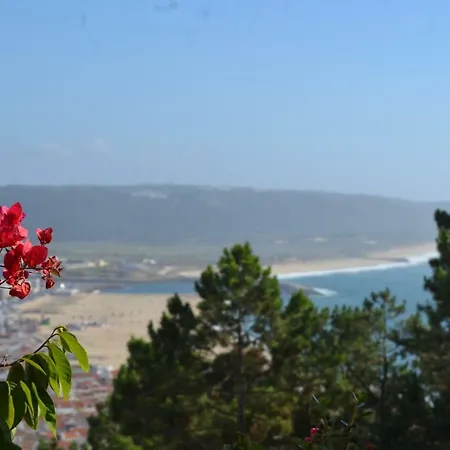 Apartment Encosta Do Sol Nazare