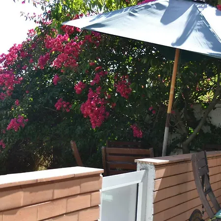 Apartment Encosta Do Sol